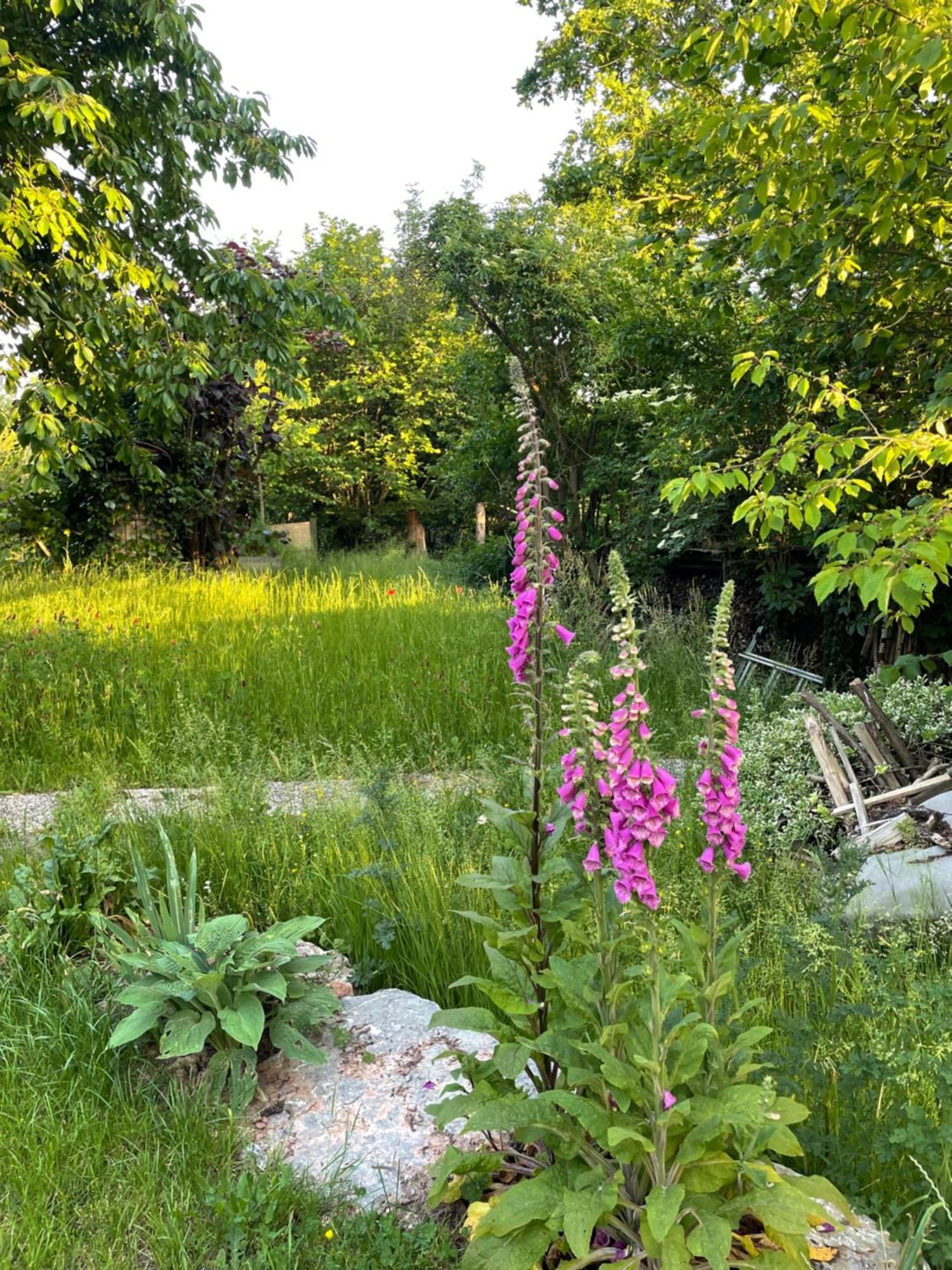 Ferienwohnung Sonnenschein ฟุลดา ภายนอก รูปภาพ